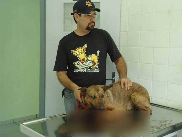 Integrantes da banda do cantor Thiaguinho foram acusados de acertar uma bomba numa cachorra, antes da apresentação do artista na cidade de Campinas, interior de São Paulo. Integrantes da banda do cantor Thiaguinho foram acusados de acertar uma bomba numa cachorra, antes da apresentação do artista na cidade de Campinas, interior de São Paulo.