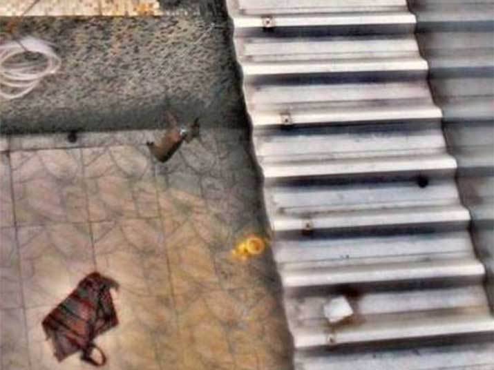 A cadela que era pendurada pela coleira em um varal e agredida, na Vila da Penha, zona norte do Rio, foi resgatada por uma equipe de veterinários da Sepda (Secretaria de Promoção e Defesa dos Animais), da Prefeitura do Rio. A cadela que era pendurada pela coleira em um varal e agredida, na Vila da Penha, zona norte do Rio, foi resgatada por uma equipe de veterinários da Sepda (Secretaria de Promoção e Defesa dos Animais), da Prefeitura do Rio.