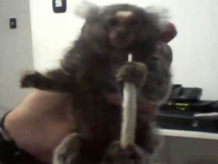 Nas imagens, o dono assopra fumaça na cara do bichinho e o obriga a fumar maconha. Segundo especialistas, no caso do macaquinho, as consequências do uso da droga são bem mais graves que nos humanos. Assista ao vídeo!