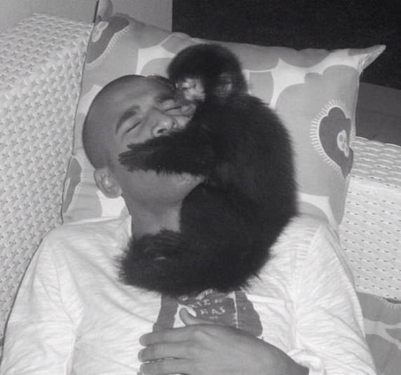 Kuta, o macaco do jogador de futebol Emerson Sheik, não desgruda do dono nem na hora de dormir+ Opine: Você teria um animal exótico em casa?