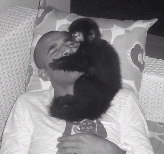Kuta, o macaco do jogador de futebol Emerson Sheik, não desgruda do dono nem na hora de dormir+ Opine: Você teria um animal exótico em casa? Kuta, o macaco do jogador de futebol Emerson Sheik, não desgruda do dono nem na hora de dormir+ Opine: Você teria um animal exótico em casa?