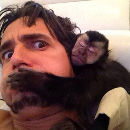 Durante sua participação no Roberto Justus + desta semana, latino levou um convidado pra lá de inusitado: Twelves, seu macaco de estimação+ Opine: Você teria um animal exótico em casa? Durante sua participação no Roberto Justus + desta semana, latino levou um convidado pra lá de inusitado: Twelves, seu macaco de estimação+ Opine: Você teria um animal exótico em casa?