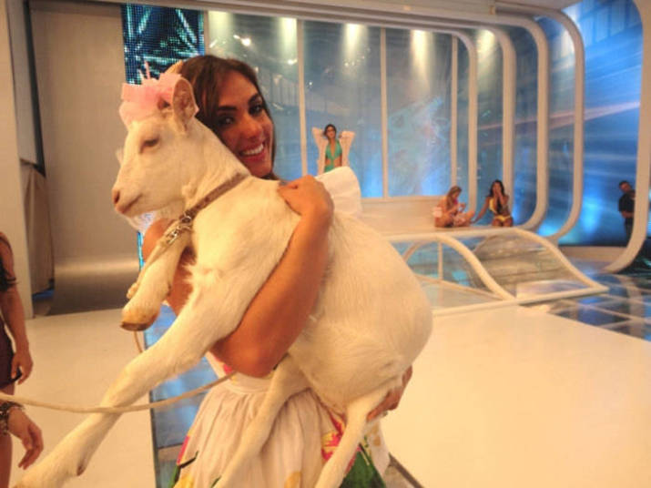 Nicole Bahls se apaixonou pelas cabras durante sua participação em A Fazenda. Ao fim do reality, a bela foi presenteada com um animalzinho+ Opine: Você teria um animal exótico em casa?