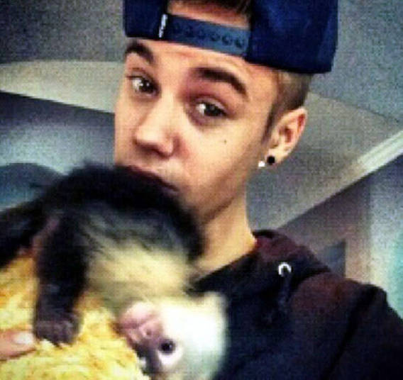 Justin Bieber abandonou seu macaco-prego na Alemanha. O animal não tinha documentação para entrar no país e acabou barrado na alfândega+ Opine: Você teria um animal exótico em casa?