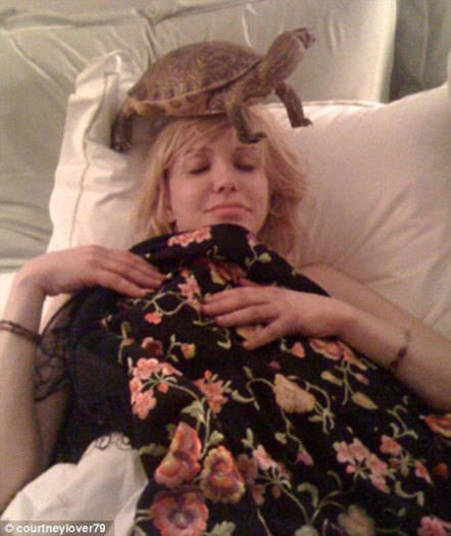 Tartaruga não é exatamente um animal exótico, mas quem dorme com uma na cama? Só mesmo a eterna viúva de Kurt Cobain, Courtney Love!+ Opine: Você teria um animal exótico em casa?