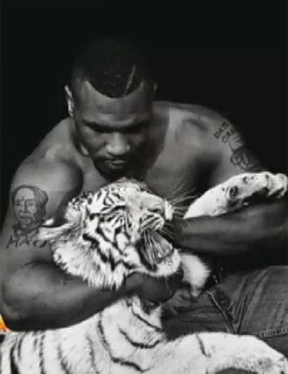 Mike Tyson gasta cerca de R$ 16 mil só com a alimentação de seus tigres+ Opine: Você teria um animal exótico em casa? Mike Tyson gasta cerca de R$ 16 mil só com a alimentação de seus tigres+ Opine: Você teria um animal exótico em casa?