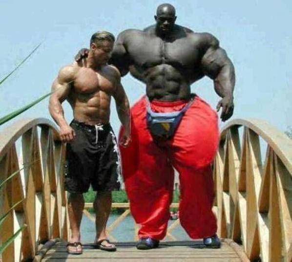 Conheça o inacreditável Incrível Hulk da África do Sul. Aqui há uma polêmica: ele foi feito de Photoshop? Tem muita gente que jura que não Conheça o inacreditável Incrível Hulk da África do Sul. Aqui há uma polêmica: ele foi feito de Photoshop? Tem muita gente que jura que não