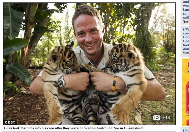 O
tratador Giles Clark levou o animal para casa após Spot e Stripe terem nascido
em um zoológico australiano O
tratador Giles Clark levou o animal para casa após Spot e Stripe terem nascido
em um zoológico australiano