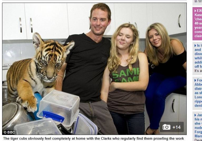 Os animais viraram o xodó da família Os animais viraram o xodó da família