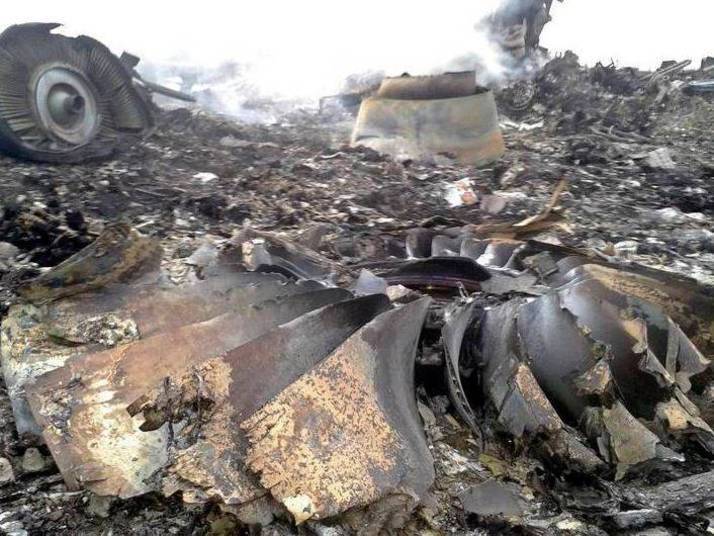 Em 17 de julho de 2014, um avião da empresa foi abatido na Ucrânia, e todas as 298 pessoas a bordo morreram
