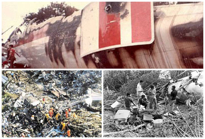 Em 4 de dezembro de 1977, o voo MH653 caiu no estado de Johor, na
Malásia, após ser sequestrado. Todas as 100 pessoas a bordo morreram.
Conversas gravadas pela caixa preta registraram vários disparos dentro
do avião antes da queda. Nenhum corpo, inclusive do sequestrador, foi identificado
