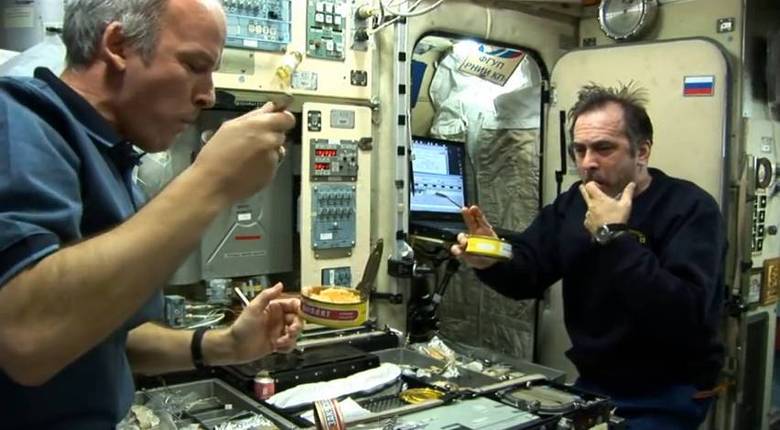 Resultado de imagem para vida no espaço - tarefas dos astronautas