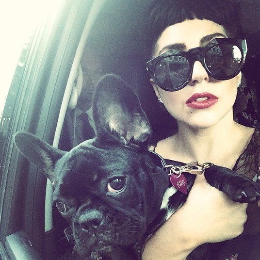Lady GagaGaga também é divertida e carismática. Sua nova cachorrinha, a pequena Asia, é uma fofura. Só que agora a cantora vive para publicar fotos apenas do bichinho. Os próprios fãs fazem piadas com o fato de Gaga não divulgar mais seus CDs ou shows e só dar atenção para Asia. Será que é uma fase?