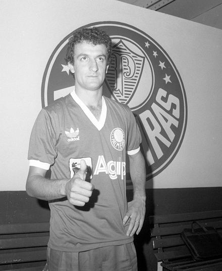 Palmeiras: 7 motivos para o torcedor comemorar a chegada de Dorival Júnior