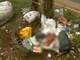 Em Ceilândia (DF), um bebê recém-nascido foi
encontrado abandonado em meio a lixo, próximo a um ponto de ônibus.
Assista ao vídeo 