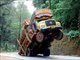 Acidentes bizarrosQuer saber tudo sobre Carros? Acesse r7.com/carros!