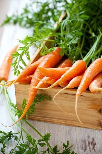 CenouraIngerir a cenoura é uma ajuda extra para o corpo eliminar as toxinas. Rica em betacaroteno, o alimento ajuda a desintoxicar o organismo