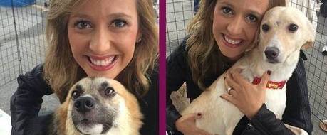 Luisa Mell conta sobre sua relação com animais Luisa Mell conta sobre sua relação com animais