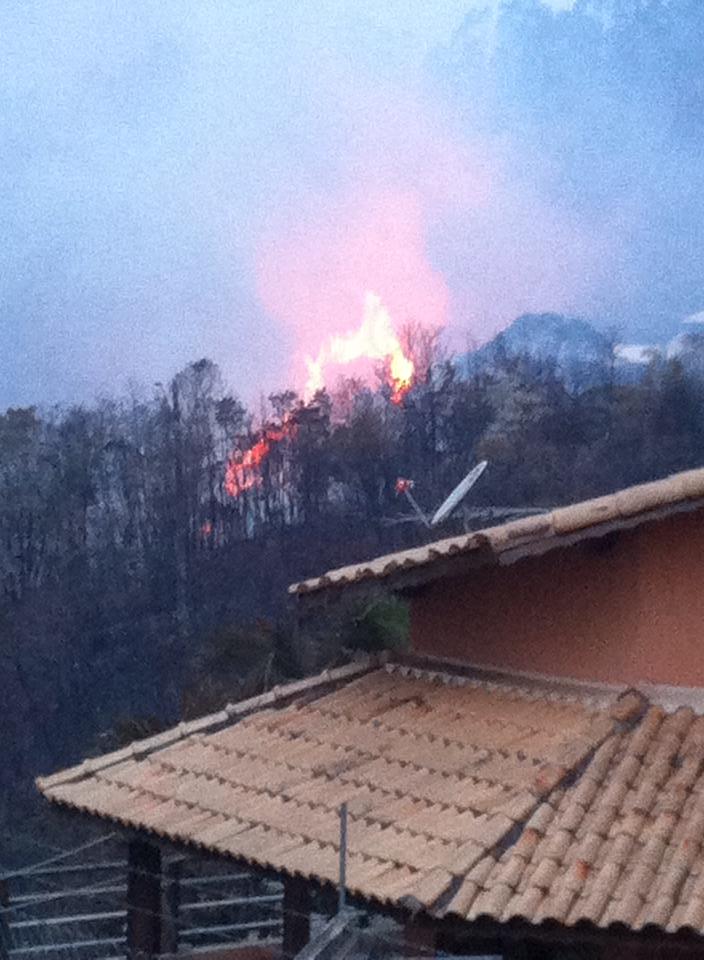 netshoes campo limpo