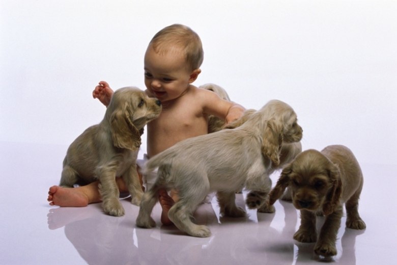 Estudos mostram que o convívio entre as crianças e os
animais trazem muitos benefícios para a saúde e o bem-estar. No entanto, para
que esse relacionamento seja prazeroso e seguro, é preciso que alguns cuidados
sejam tomados, alerta o zootecnista Alexandre Rossi, especialista em
comportamento animal Acesse o R7 Play e assista à programação da
Record quando quiser