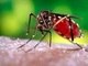 — Na dengue, por exemplo, a vermelhidão aparece no estágio final e ela é aguda, ou seja, depois da cura a pessoa não tem sequelas.A Sesab (Secretária de Saúde da Bahia) informou que desde o início do ano até 24 de abril, foram notificados 20.813 casos de dengue no Estado. Esse número corresponde ao aumento de 153%, em relação ao mesmo período no ano passado, quando foram notificados 8.241 casos