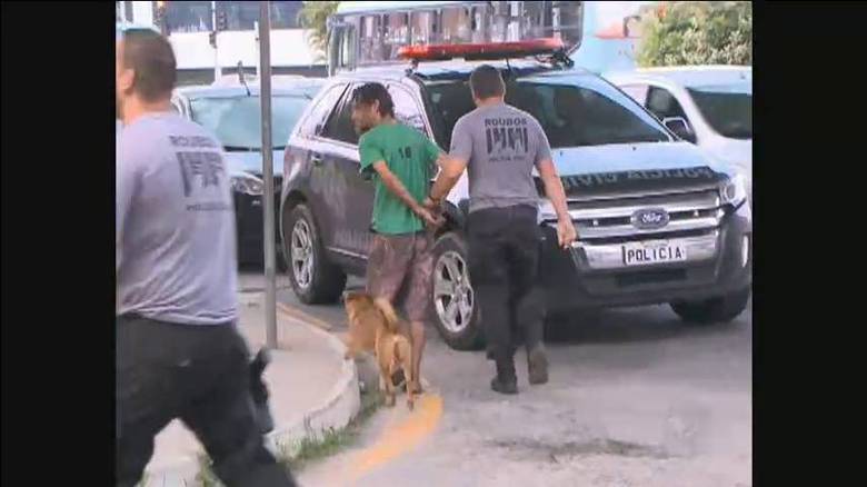 O animal parecia não se conformar com a situação