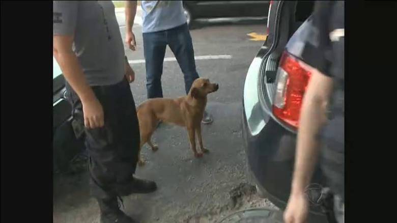 Depois que o suspeito foi colocado dentro da viatura o cachorro pareceu ficar inconsolável. Os policias permitiram que o animal ficasse perto
