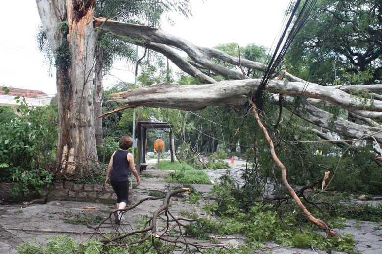 



São Paulo
ainda registra, na tarde desta segunda-feira (29), problemas provocados
pela forte chuva que atingiu a cidade durante a madrugada. Veja nas imagens a
seguir

