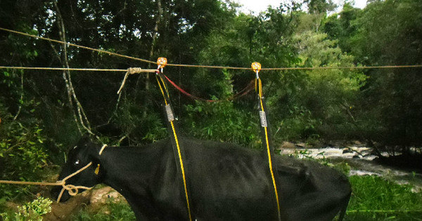 Bombeiros do sul de MG utilizam sistema tipo tirolesa para resgatar ... - R7