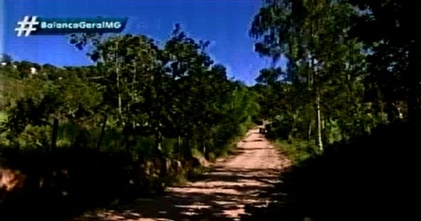 Jovem é morto com tiro no rosto e pedradas na cabeça em Santa ... - R7