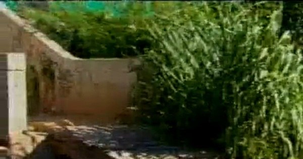 Pinguela é usada como acesso à estação do Move na Grande BH - R7