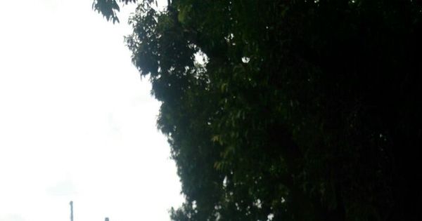 Ao menos 60 pessoas passaram mal e deram entrada no Pronto ... - R7