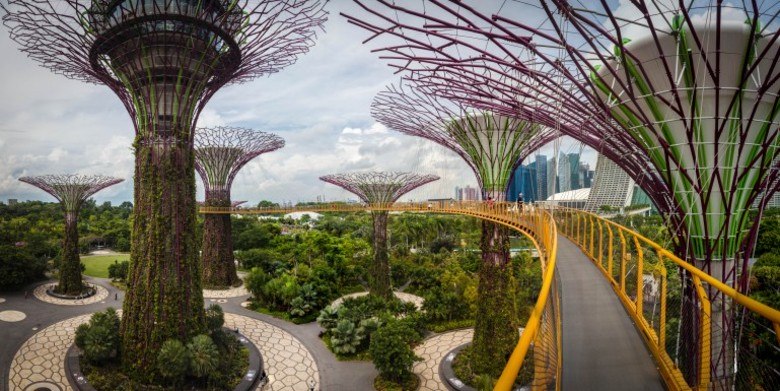Resultado de imagem para Jardim Botânico de Cingapura