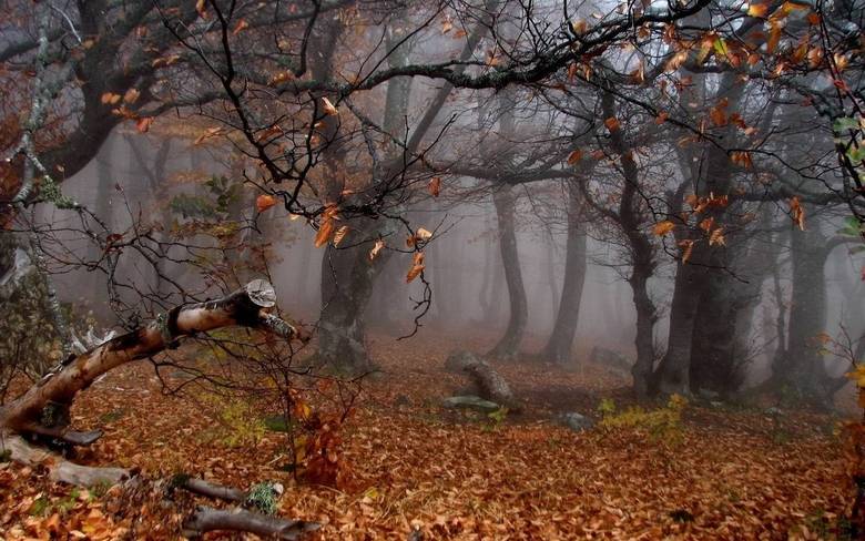 O fato é que as regiões próximas da floresta de Maules guardam outros tipos de aparição que podem ou não estar associadas com Le Loyon