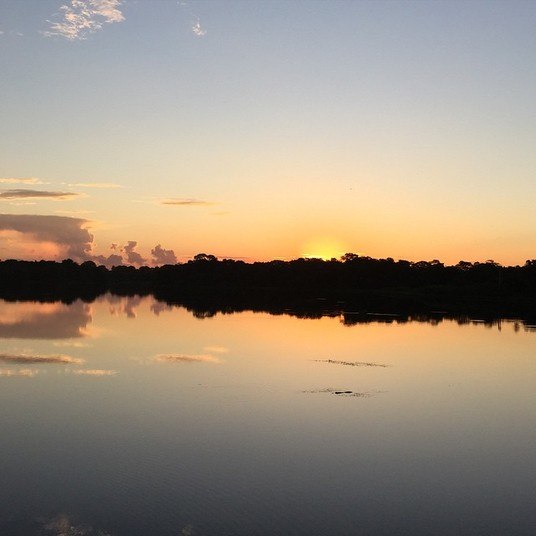 O casal se mostrou encantado com as belezas do Pantanal e publicou imagens da natureza