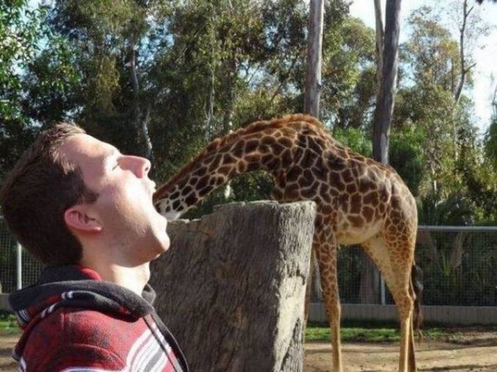 - Abre a boca aí amigo, deixa eu ver como está a sua garganta!