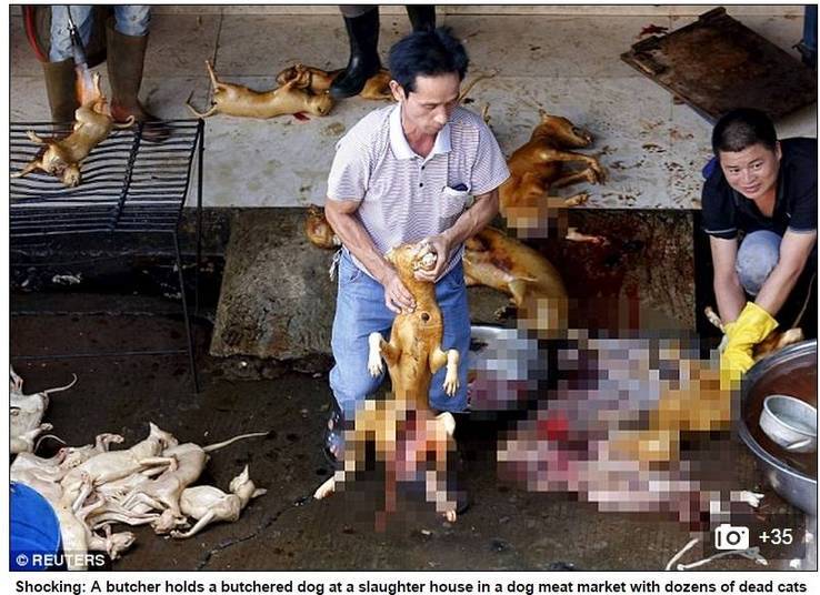 Mais de 28 mil pessoas j assinaram a petio online pedindo pelo fim do Festival da Carne de Yulin. Para participar, basta acessar o site change.org e preencher a ficha