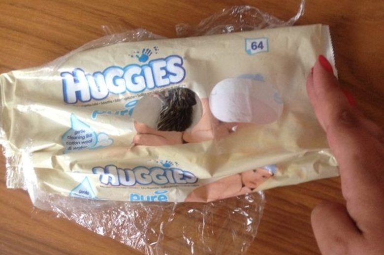 Leanne Phelps, 31, me de dois filhos, de Norwich, foi remover a maquiagem antes de dormir e descobriu um rato morto dentro do pacote de leno umedecido da marca Huggies, segundo jornal Daily Mail. A me ficou horrorizada e no susto jogou o pacote no. Por pouco seu filho pequeno no pegou o rato e colocou na boca!R7 Play: assista  programao da Record a qualquer momento e onde quiser