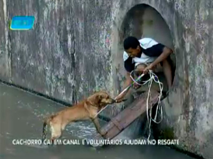 Um cachorro
caiu em um canal no rio das Tripas, na avenida ACM (Antônio Carlos Magalhães),
na capital baiana, e não conseguia sair. Ele sofreu com o frio, a fome e o
medo, mas encontrou um herói, que arriscou a própria vida para resgatar o
animalExperimente grátis: todos os programas da Record na íntegra no R7 Play