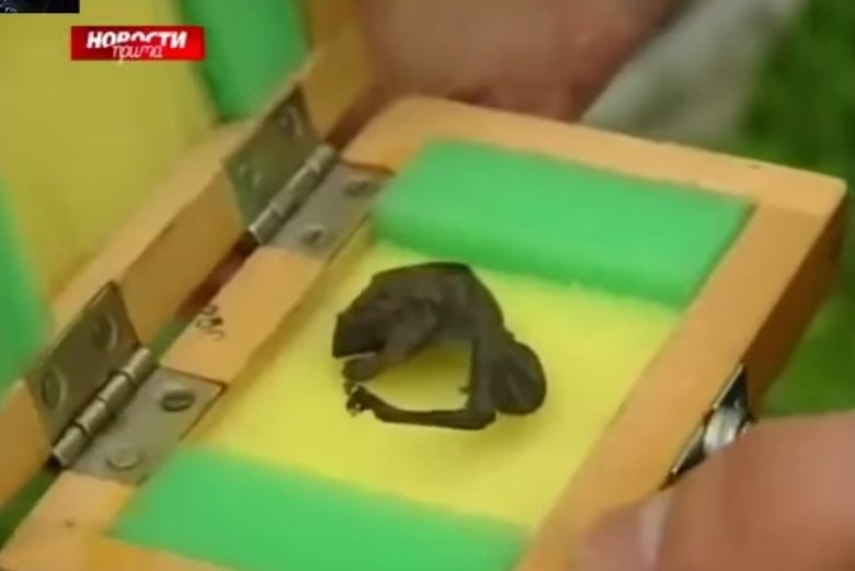 Como o ser foi encontrado perto de uma área onde existia uma usina nuclear, cogitou-se outra possibilidade: seria uma criatura fruto de uma mutação genética