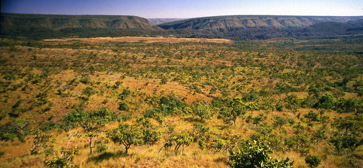 No dia 11 de setembro é comemorado o Dia Nacional do Cerrado