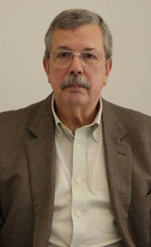 Professor destaca que o modelo brasileiro poderia se inspirar no sul-coreano