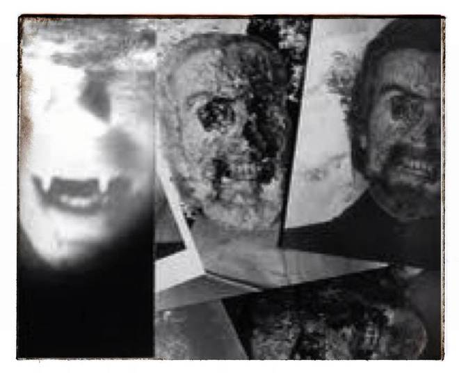 Literalmente dezenas de avistamentos de vampiros foram relatados e até os arquivos da polícia contém grossos arquivos de aparições de vampiros
