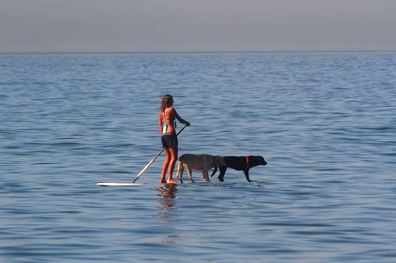 Na praia do Arpoador, na zona sul do Rio, até os cães se refrescaram na prancha de stand-up paddle