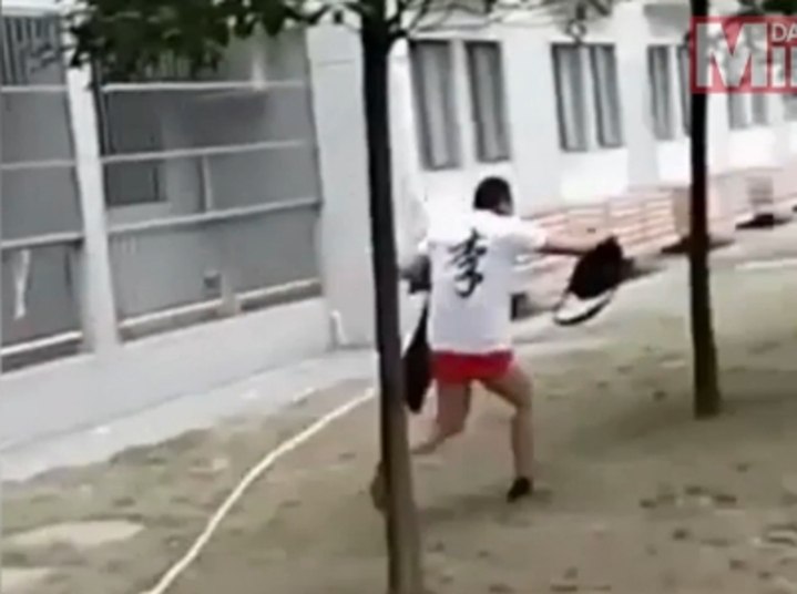 E pernas pra que te quero, antes que o marido apareça pela porta da frente do prédio. O amante sumiu do mapa. O marido não quis dar declarações a imprensa. Vizinhos dizem que ele saiu de casa, mas voltou. Não se sabe se separaou da mulher