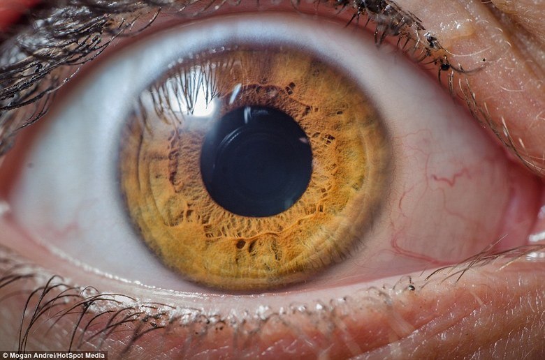 Em um período de dois anos, o romeno já fotografou mais de 300 olhos de pessoas diferentes