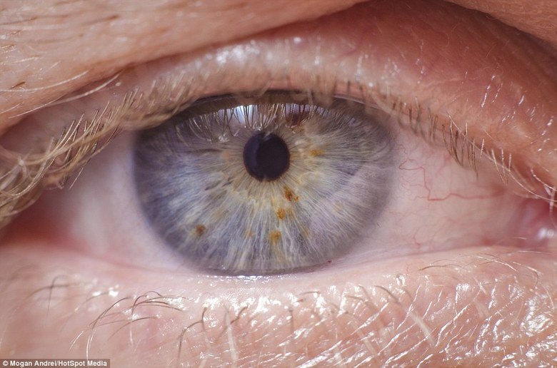 Em entrevista ao tabloide britânico Daily Mail, Andrei afirmou que começou a fotografar quando tinha 16 anos de idade