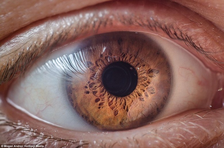 Juntas, a série mostra a beleza e os detalhes do órgão responsável pelo sentido da visão