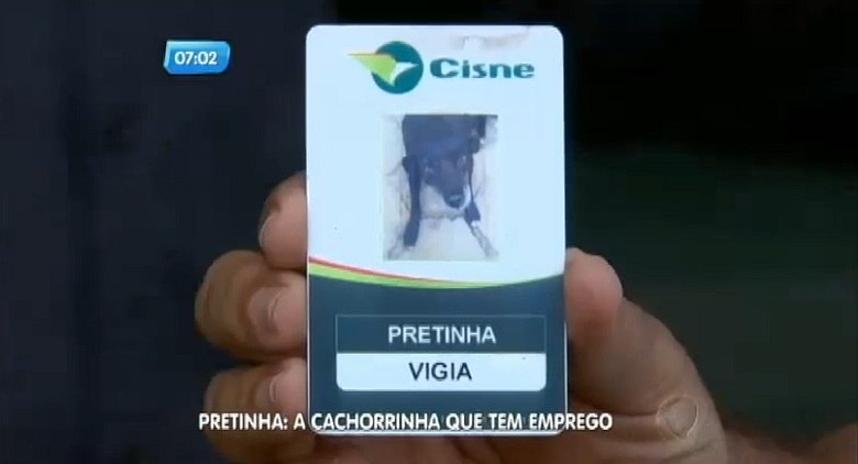 A cachorra tem até crachá de identificação. Para Bruno Figueiredo, ela é uma funcionária exemplar.— Não reclama de salário, não reclama de benefício, trabalha 24 horas na maior felicidade do mundo