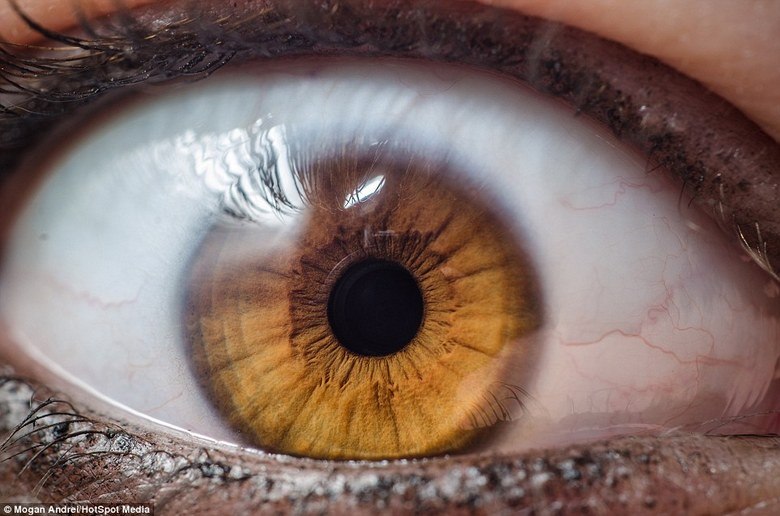 Apesar de cada olho ser único, muitas íris apresentam padrões variáveis semelhantes